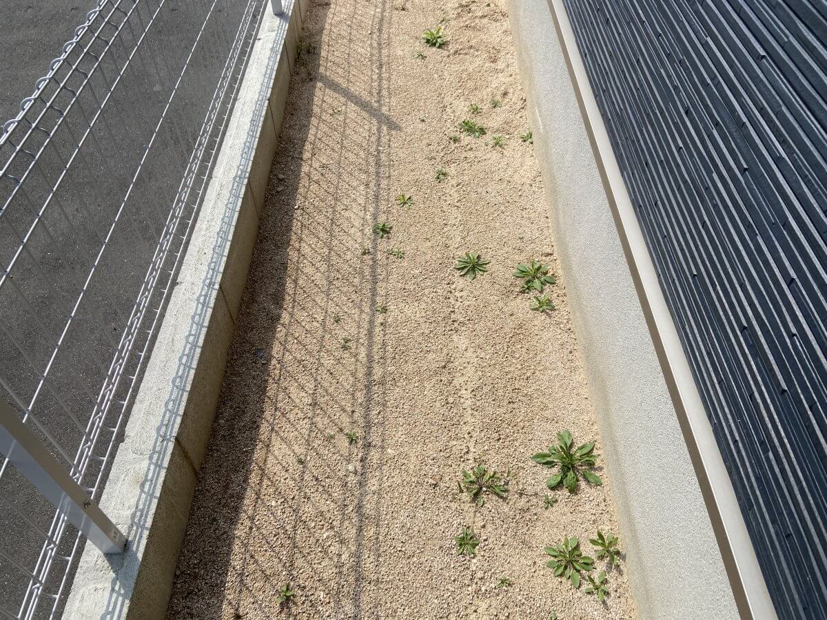 安佐南区上安七丁目新築 №2