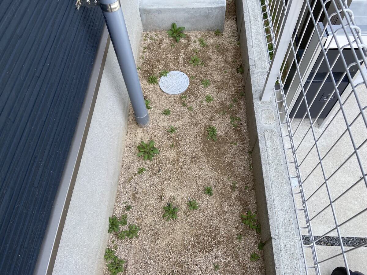 安佐南区上安七丁目新築 №2