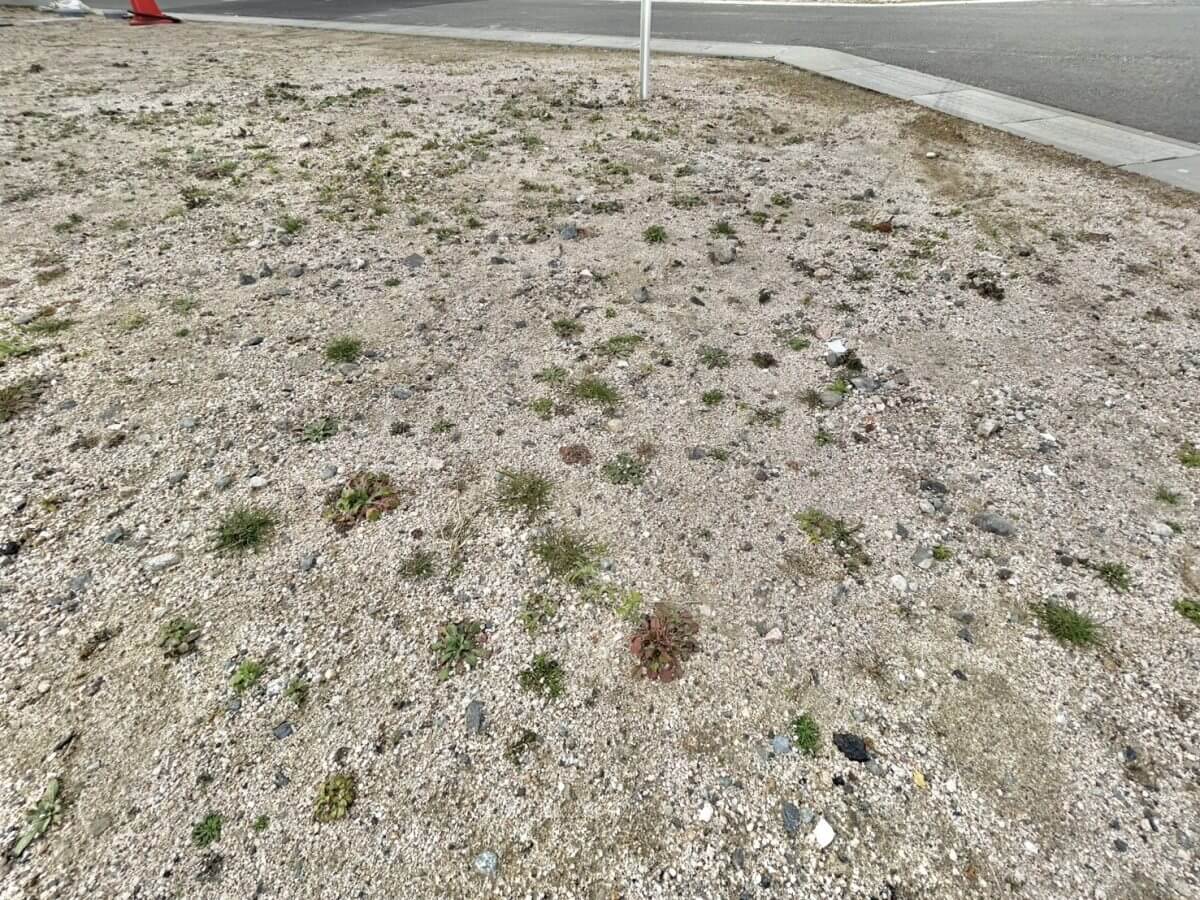 西区庚午南二丁目土地3区画