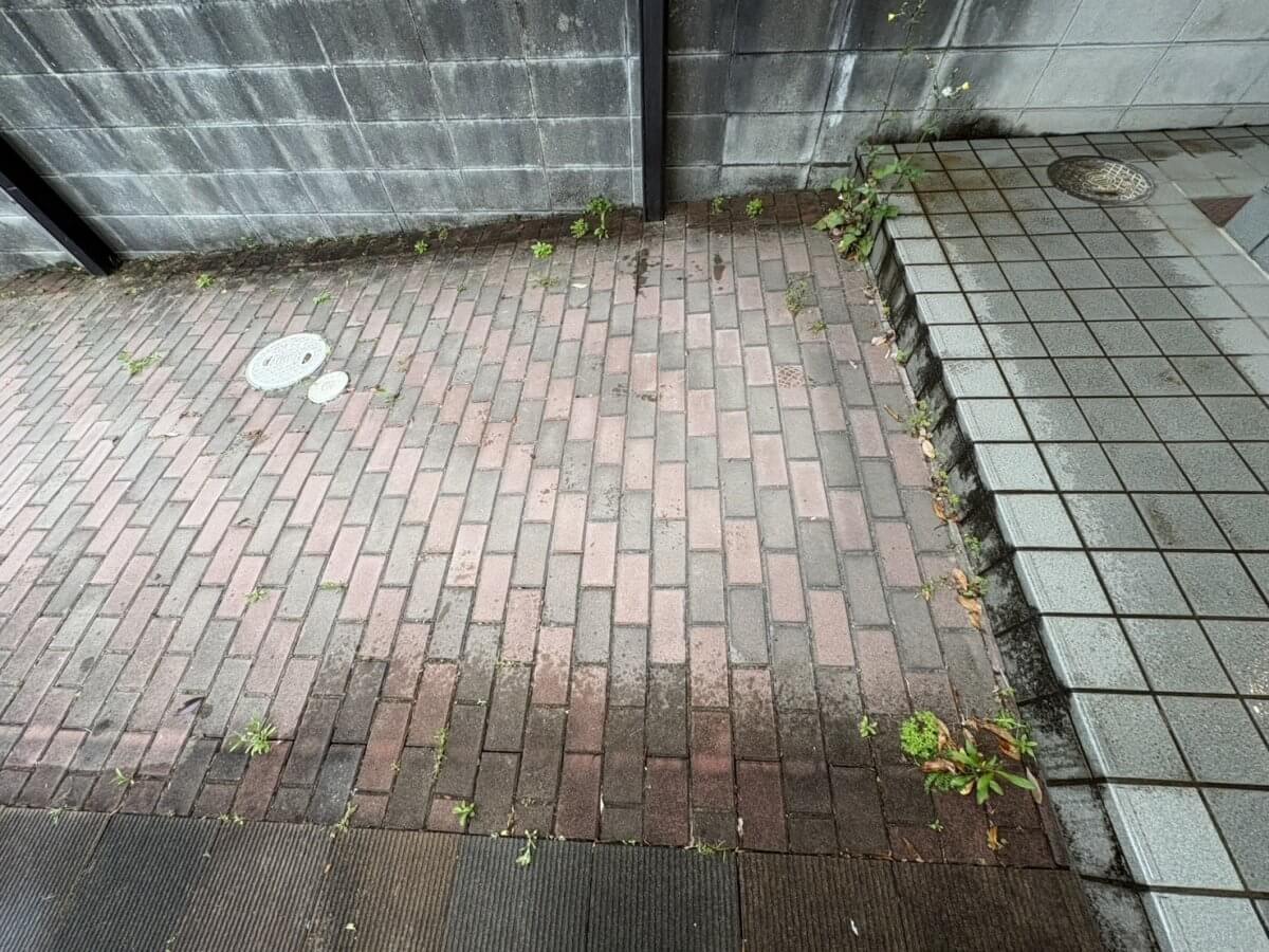 南区向洋新町三丁目 戸建