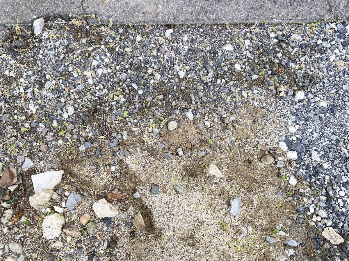 安佐北区口田南二丁目土地