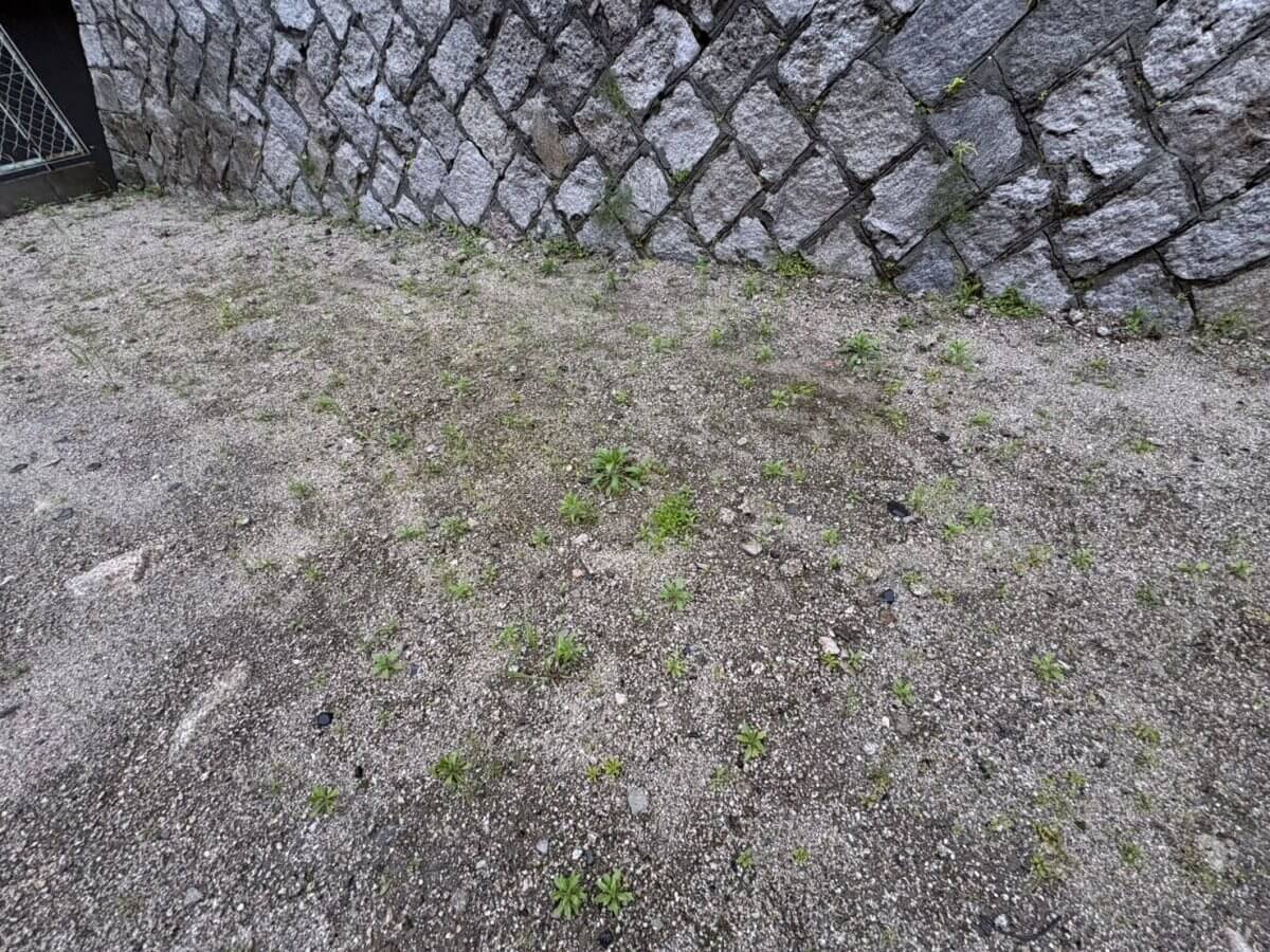 西区新庄町 土地
