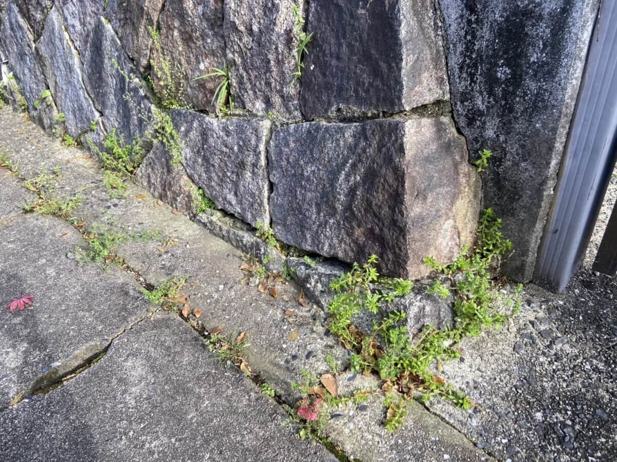 安佐南区高取南二丁目古家付土地