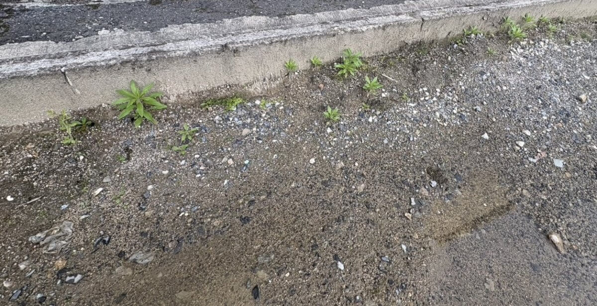 安佐北区口田南二丁目土地