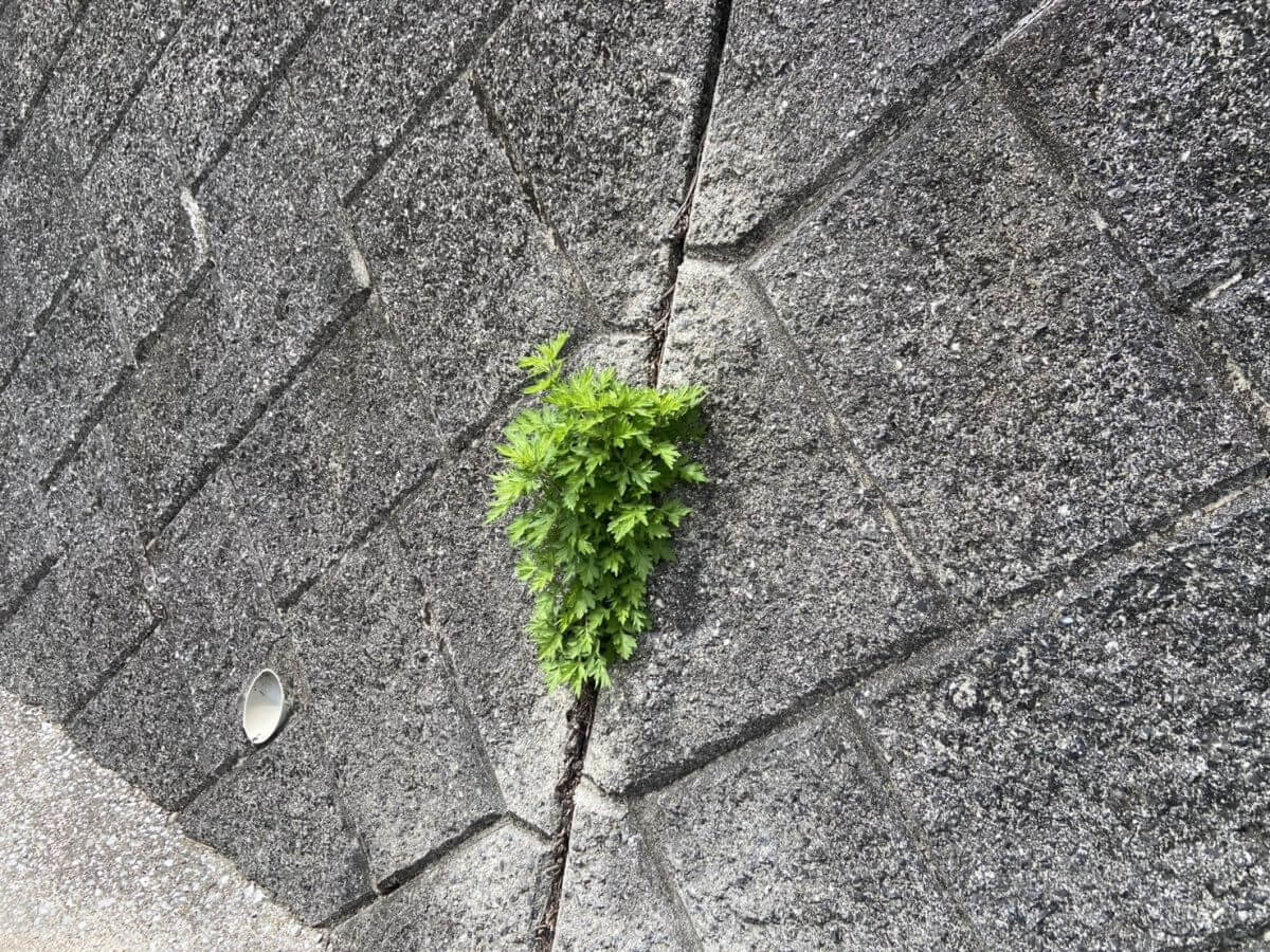 西区高須台二丁目 土地
