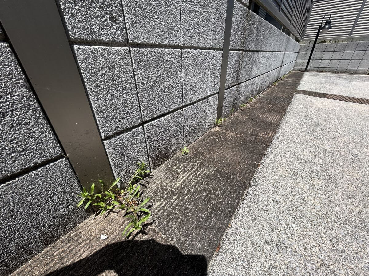南区向洋新町三丁目戸建