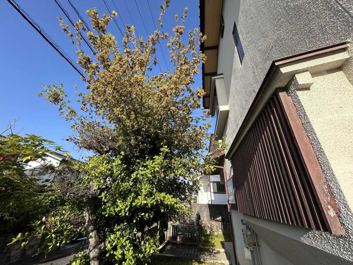 安佐南区高取南二丁目古家付土地