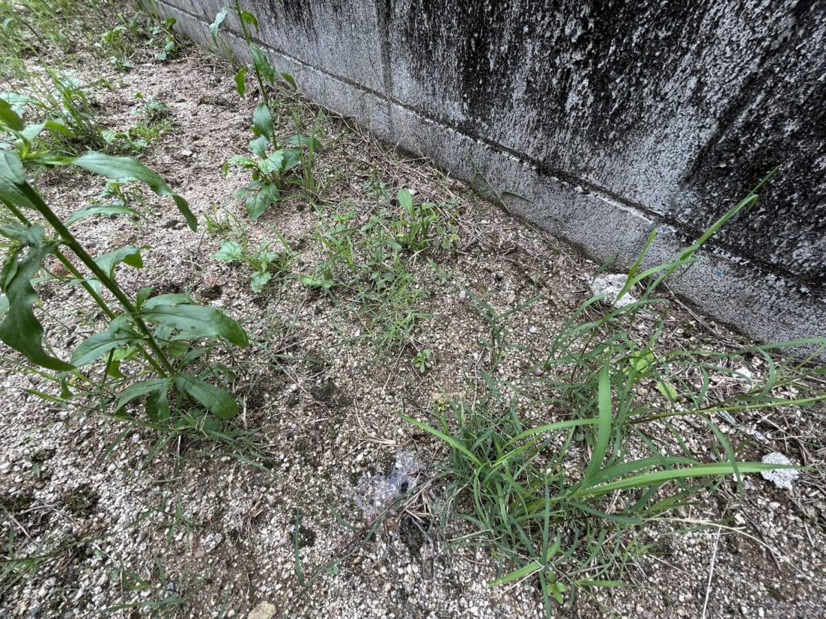 廿日市市宮内字的場土地