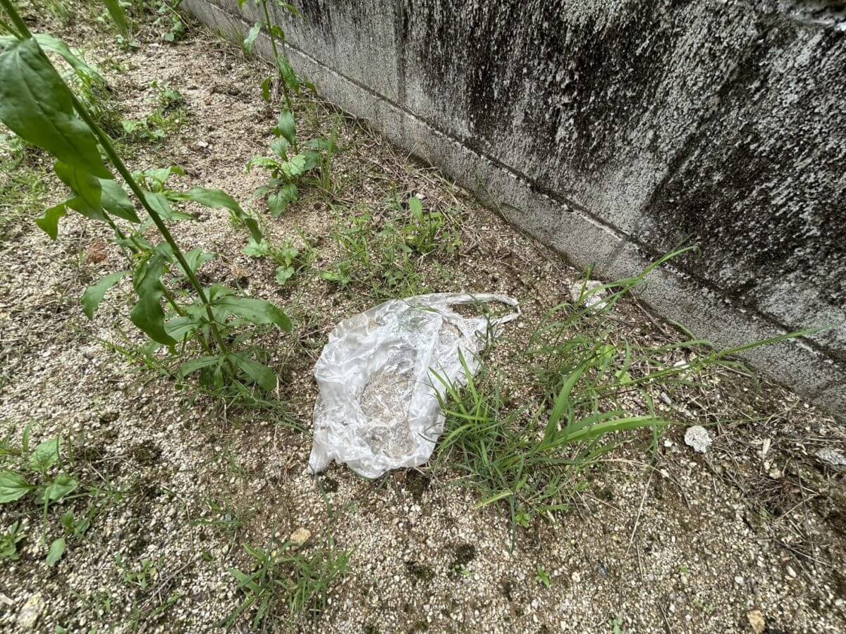 廿日市市宮内字的場土地