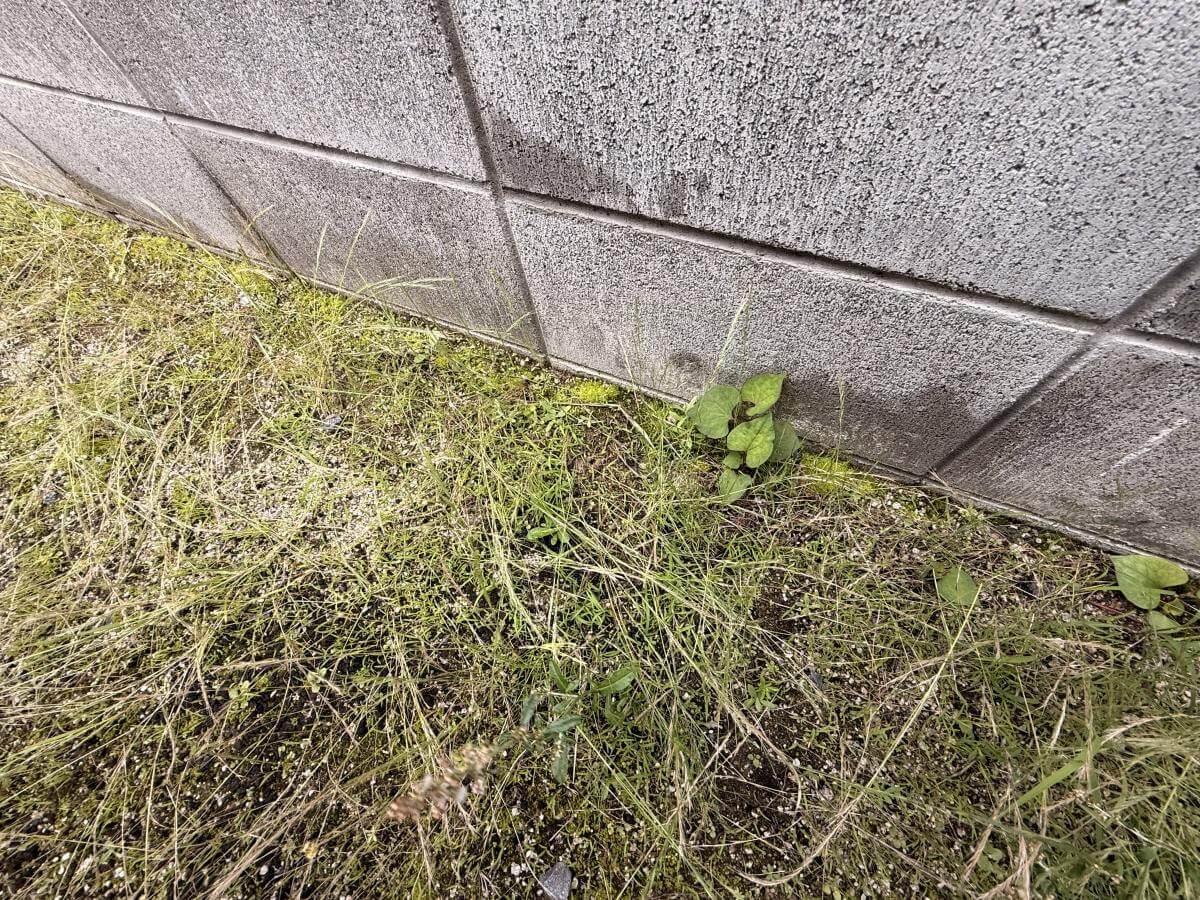 廿日市市宮内字的場土地