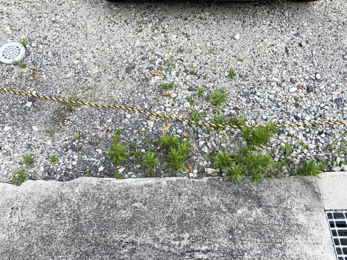 西区新庄町土地