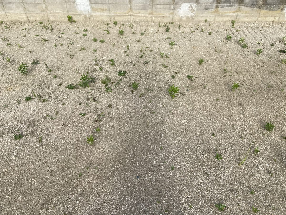 安佐北区亀山七丁目土地