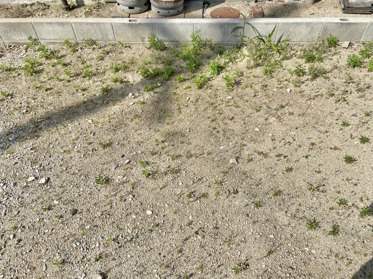 西区新庄町土地