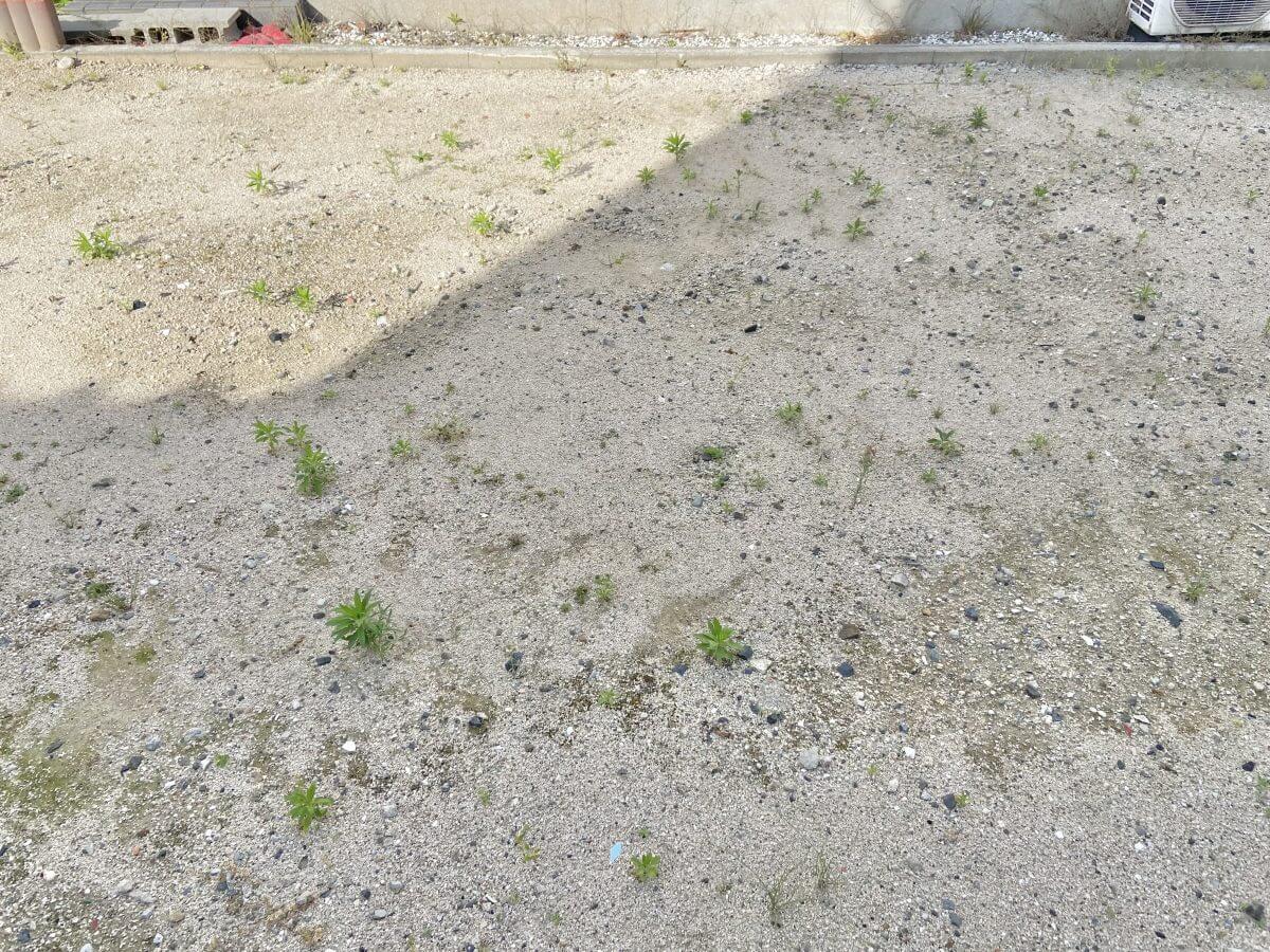 西区古江西町土地