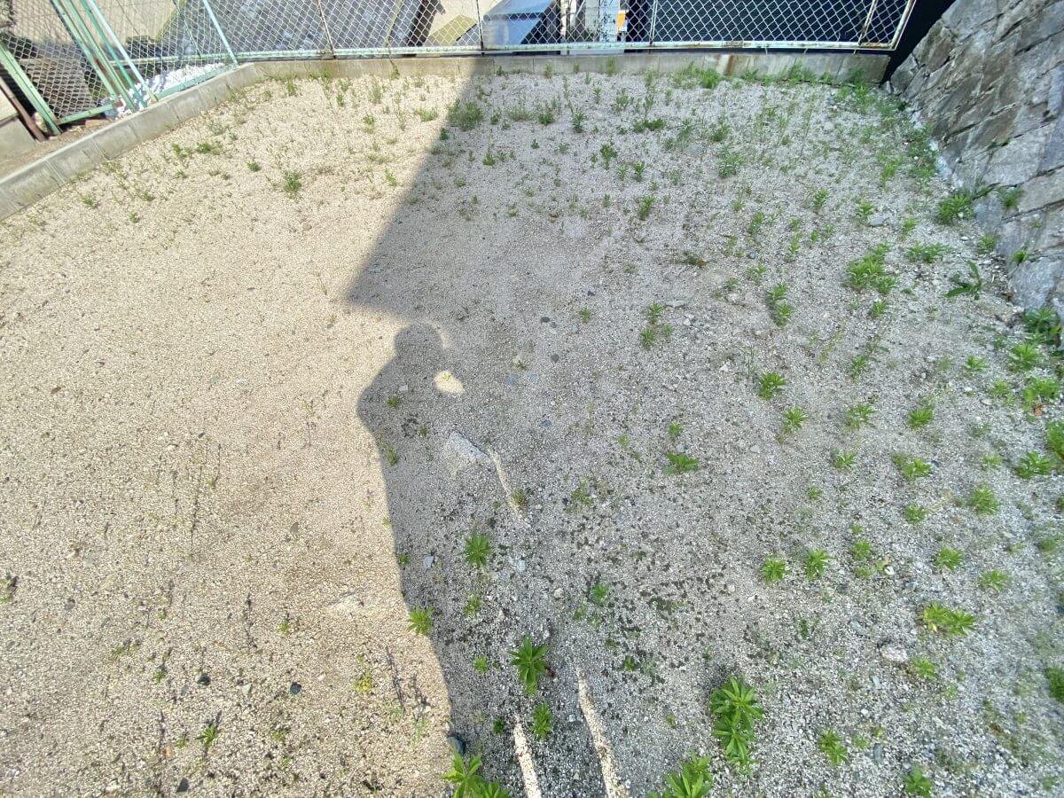 西区新庄町土地