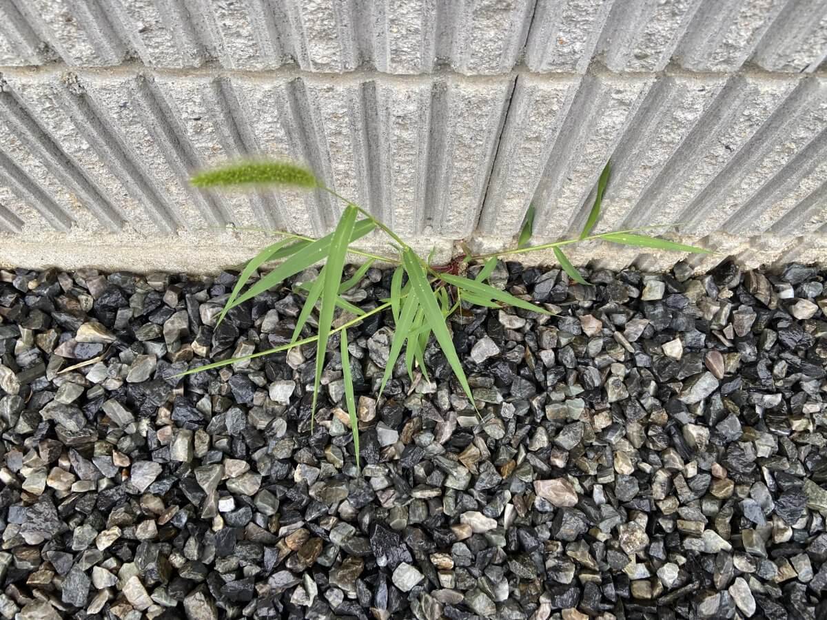 大竹市小方一丁目新築戸建
