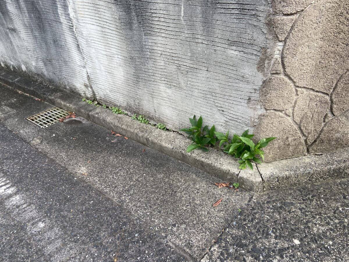 廿日市市阿品四丁目土地