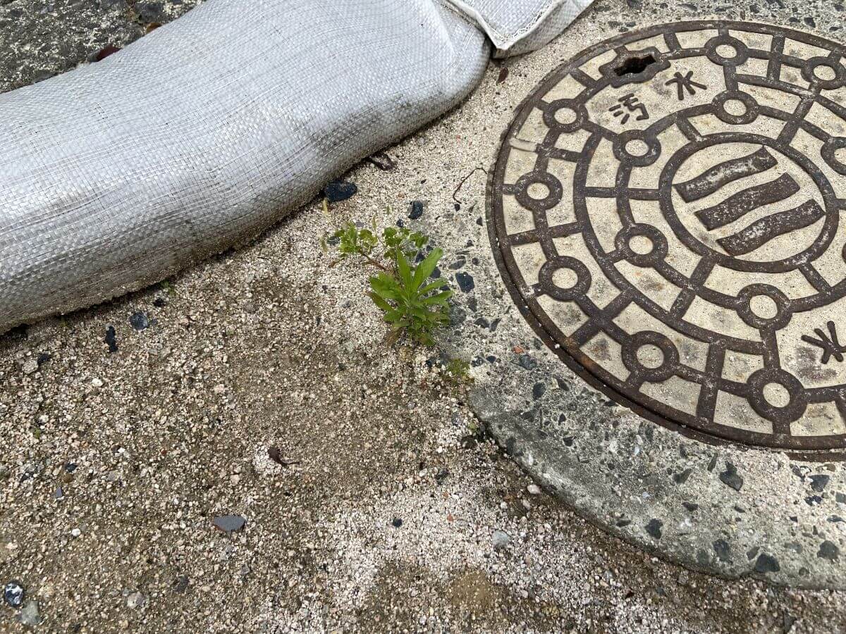 西区山田新町二丁目土地2区画