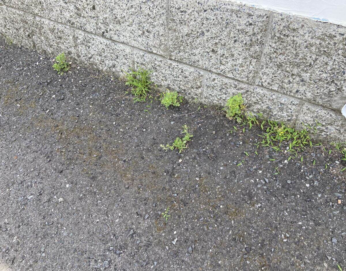 廿日市市四季が丘八丁目戸建