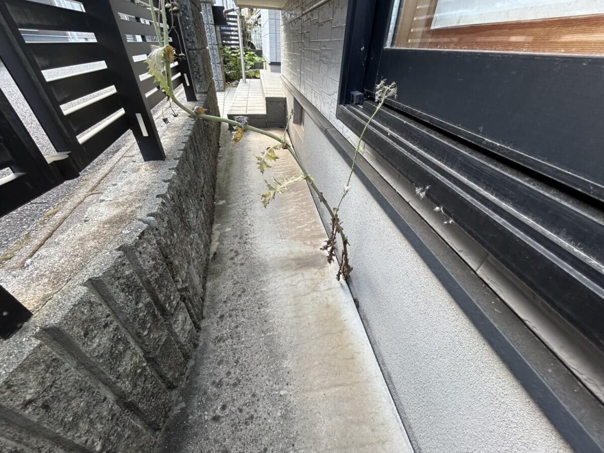呉市焼山泉ヶ丘二丁目戸建