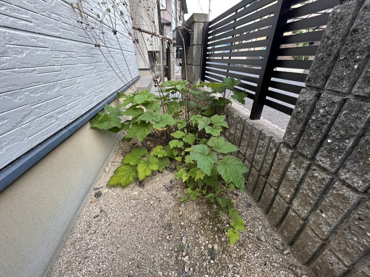 呉市焼山泉ヶ丘二丁目戸建