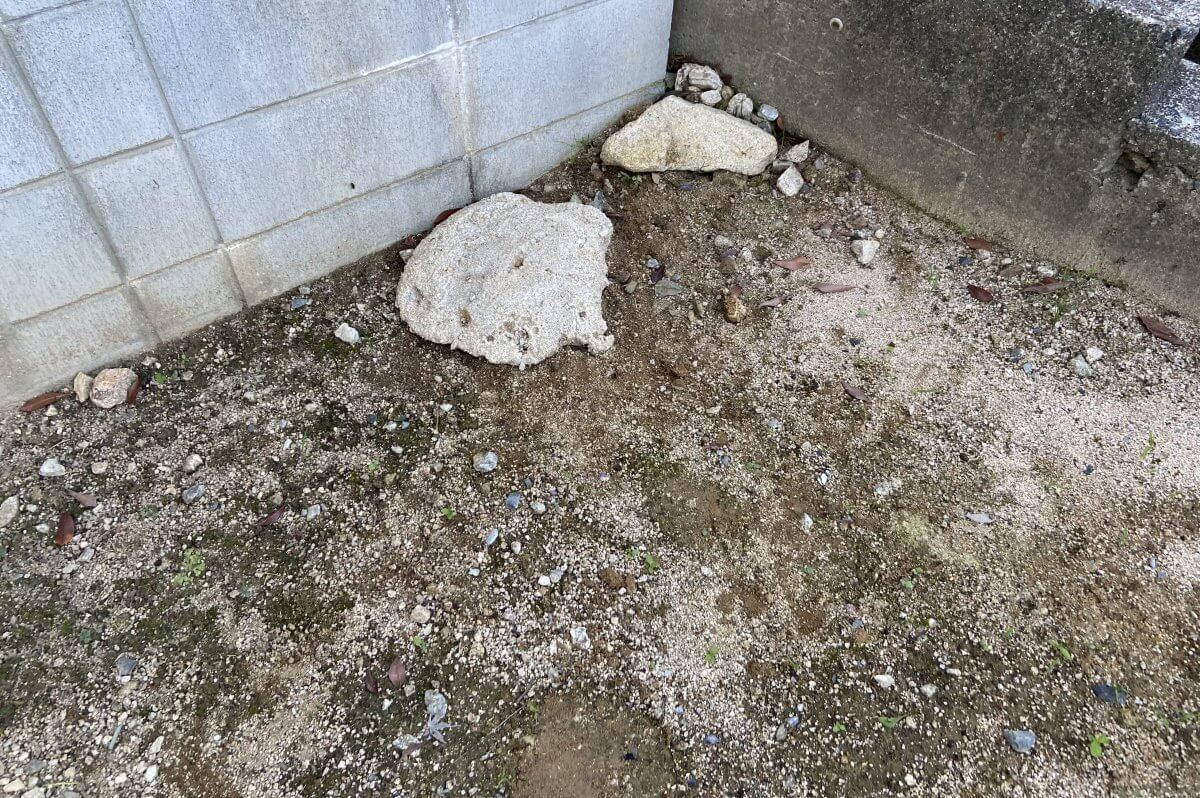 安佐南区山本六丁目新築戸建