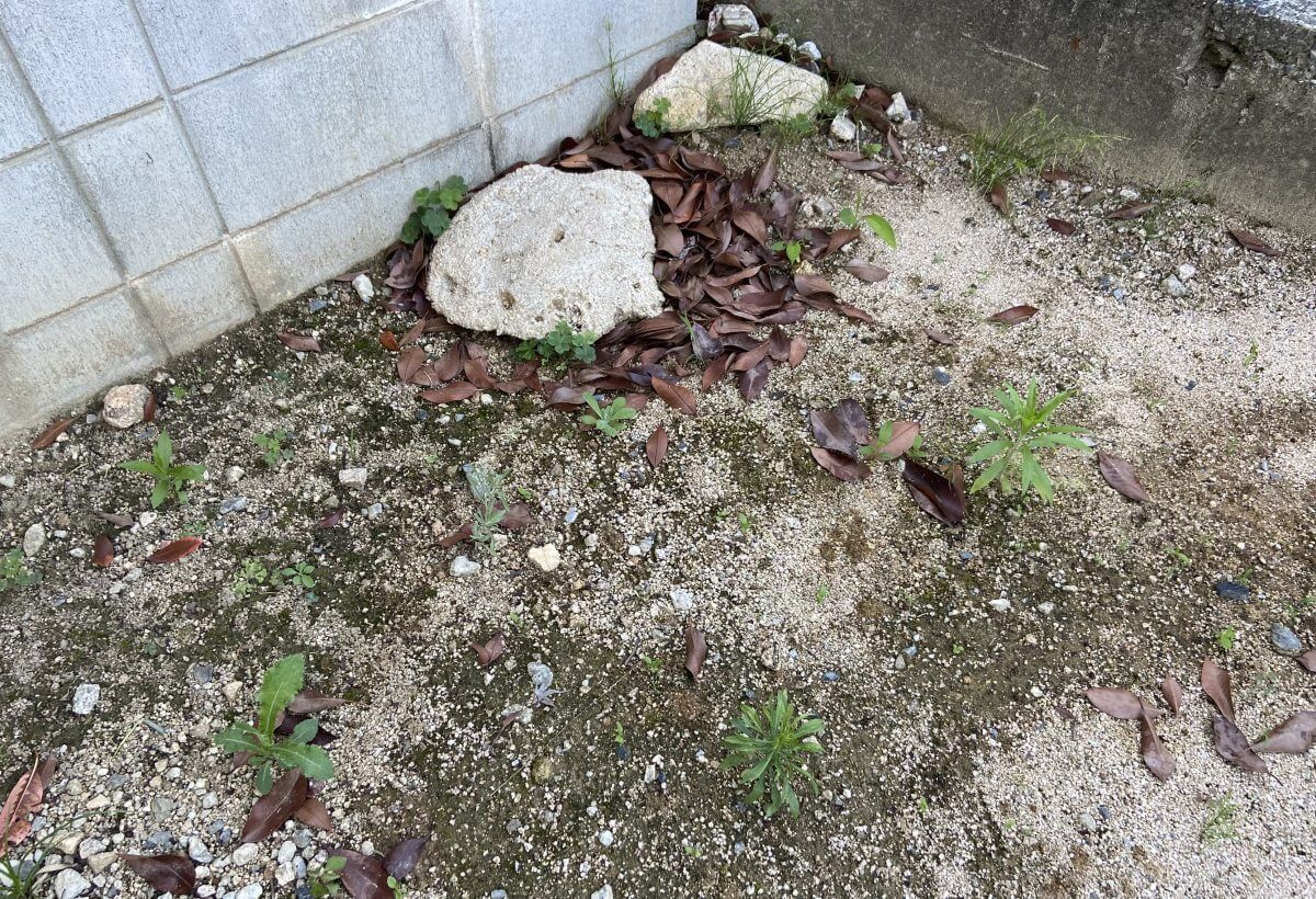 安佐南区山本六丁目新築戸建