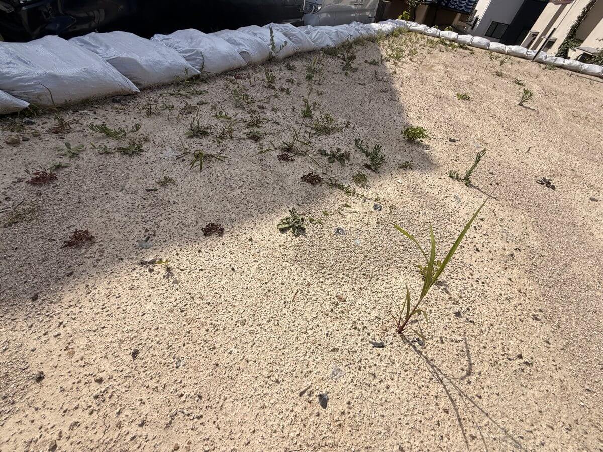 東区温品二丁目土地2区画