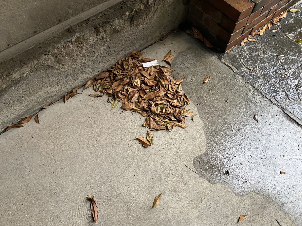 西区己斐中二丁目土地
