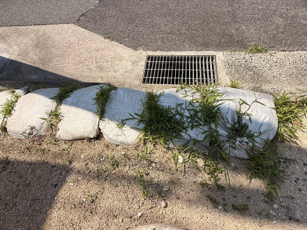 南区向洋新町二丁目土地2区画