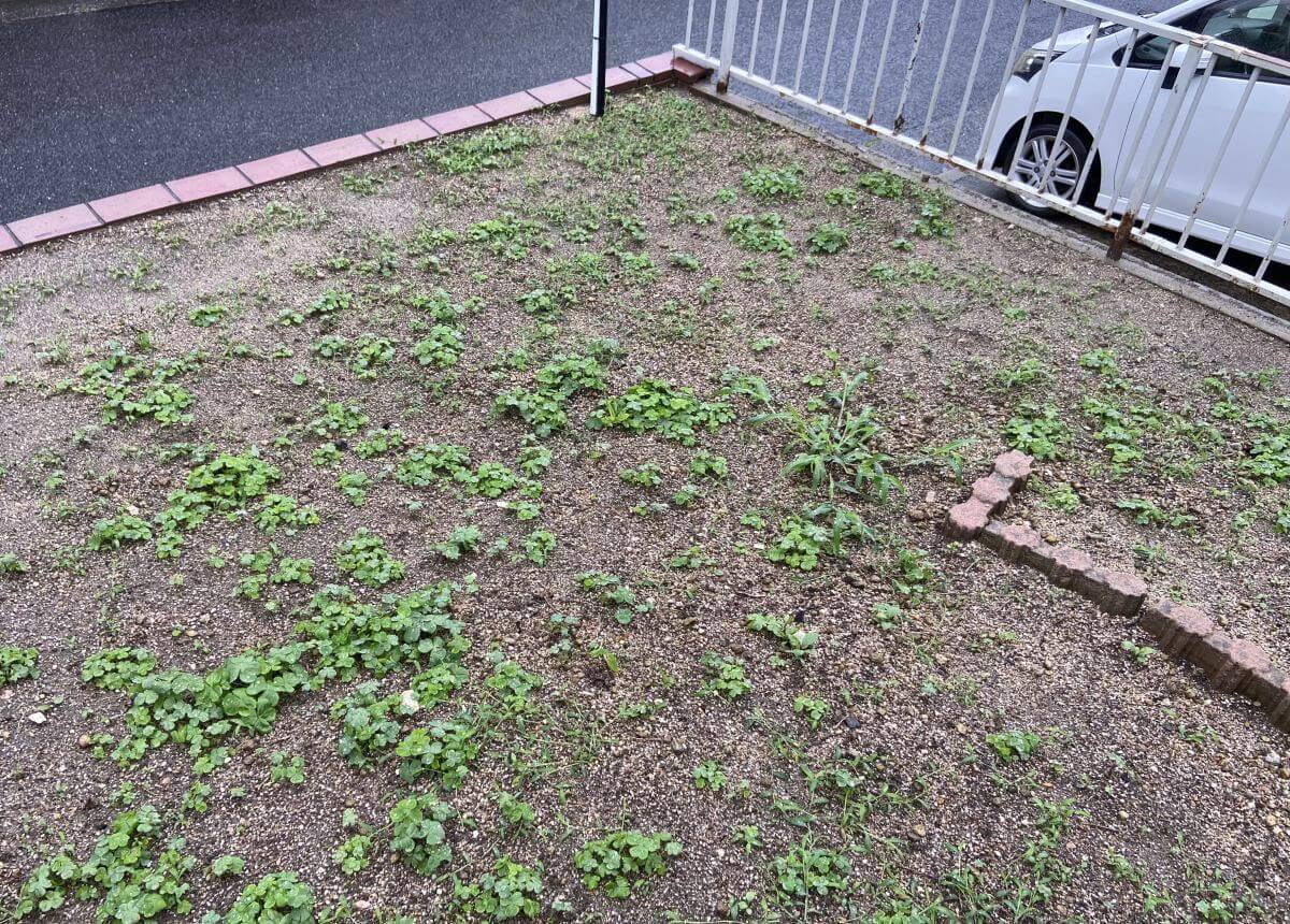 安佐北区三入東一丁目戸建