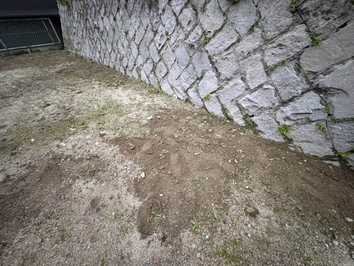 西区新庄町土地