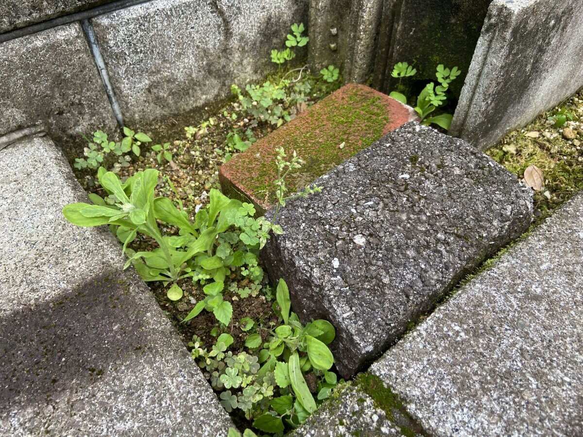 安佐南区高取南二丁目古家付土地