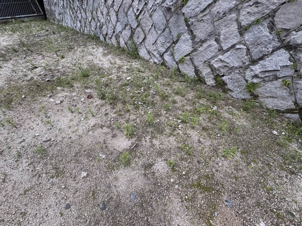 西区新庄町土地