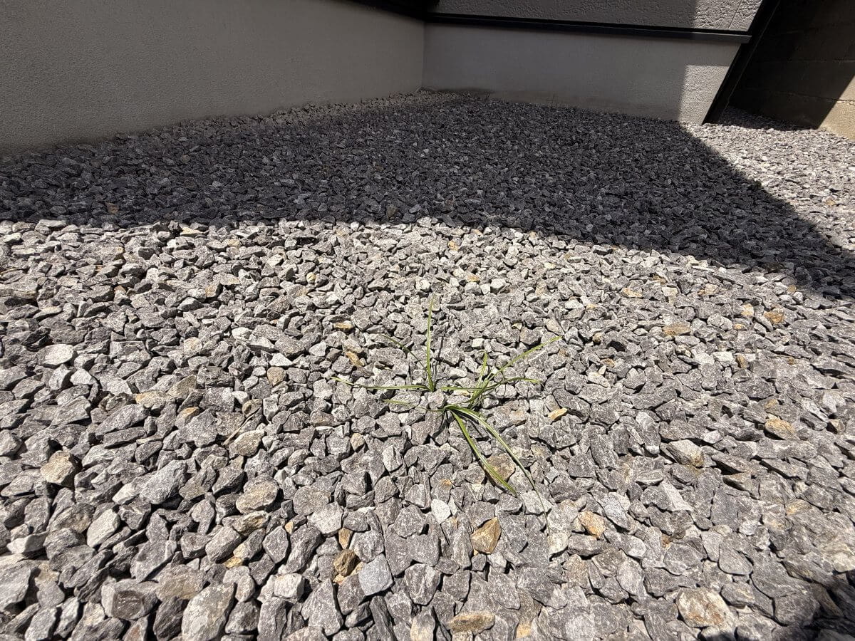 東区温品三丁目新築戸建C棟