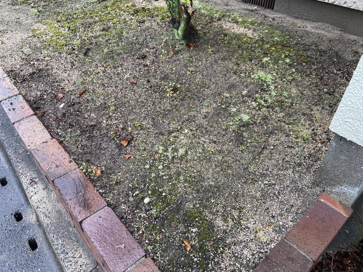 西区己斐中二丁目土地