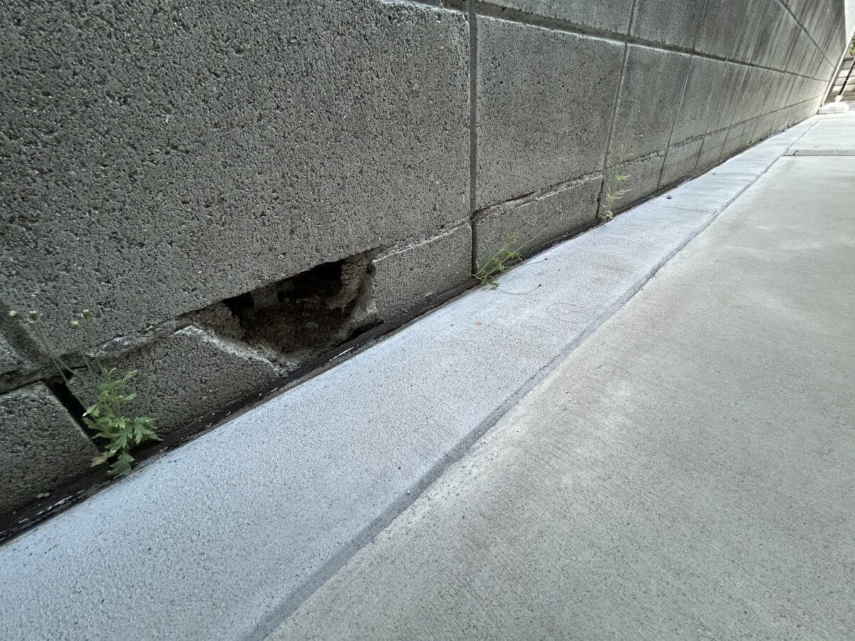 中区千田町二丁目新築戸建