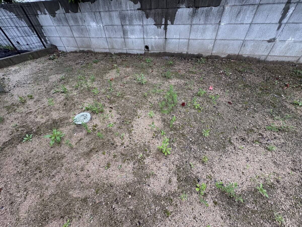 安佐南区山本六丁目新築戸建