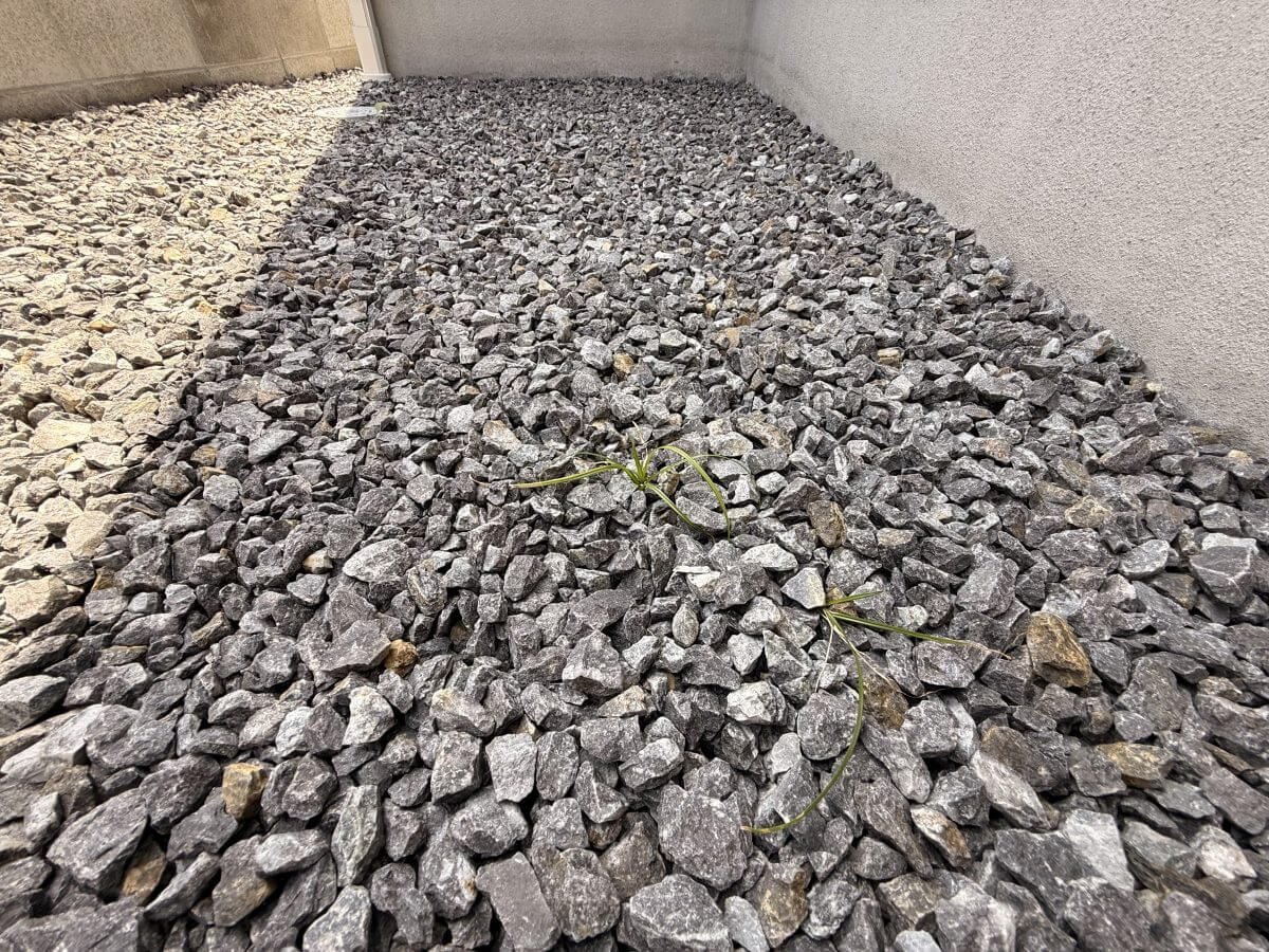 東区温品三丁目新築戸建B棟
