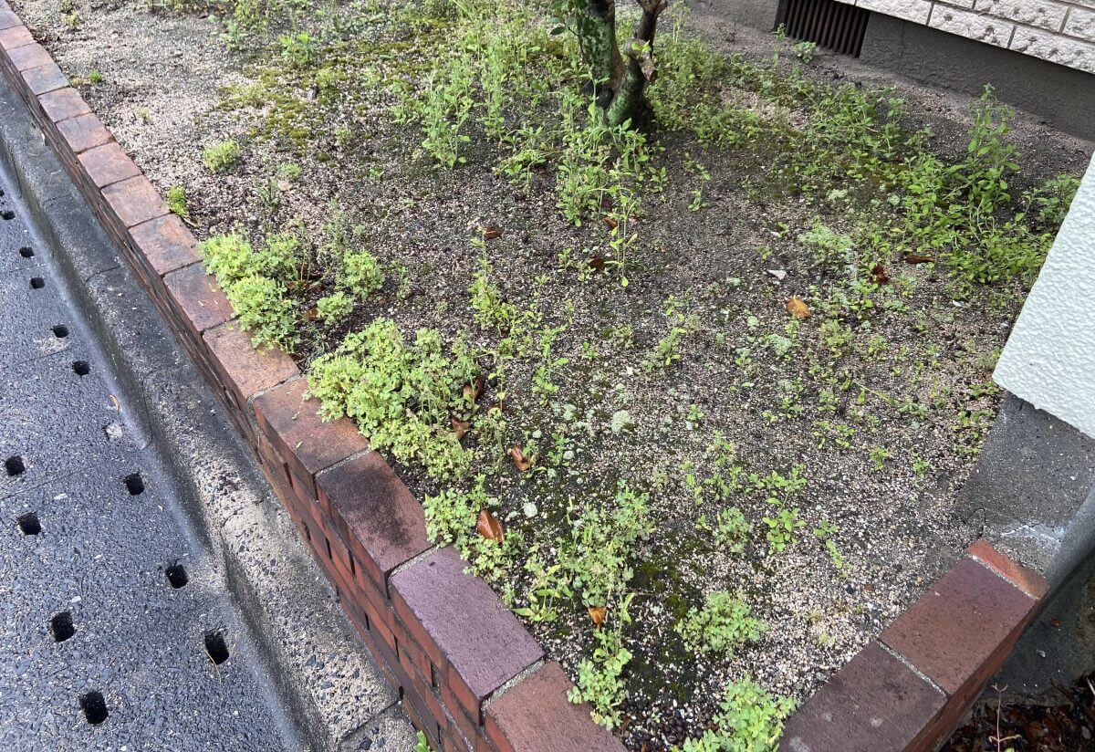 西区己斐中二丁目土地
