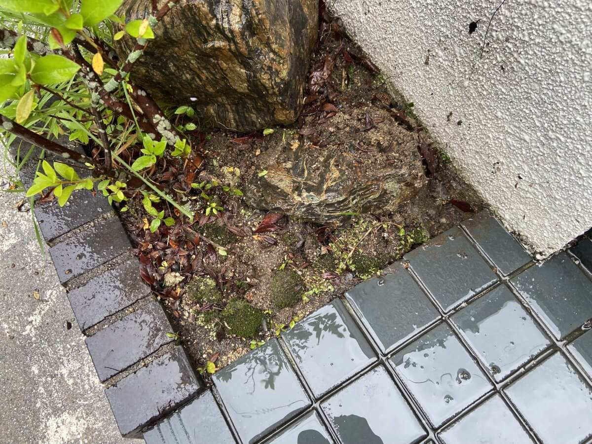 安佐北区三入東一丁目戸建