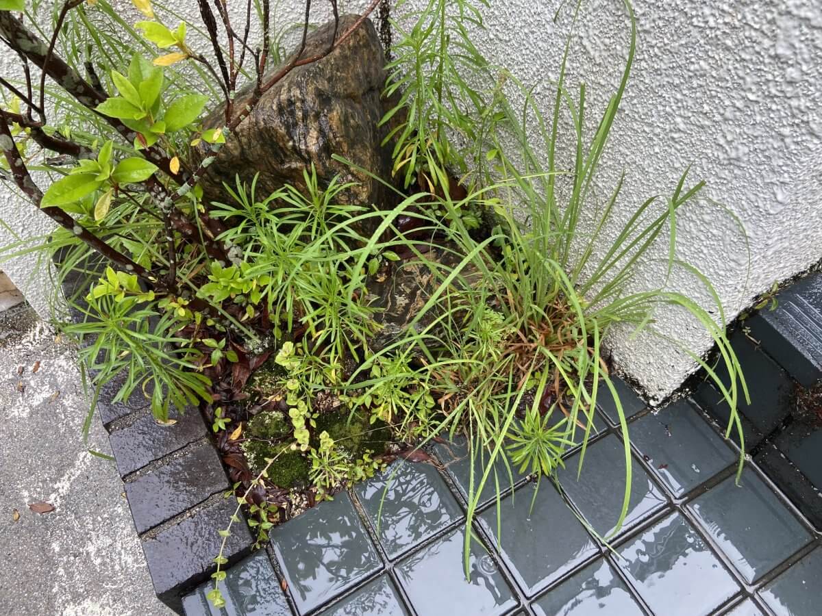 安佐北区三入東一丁目戸建