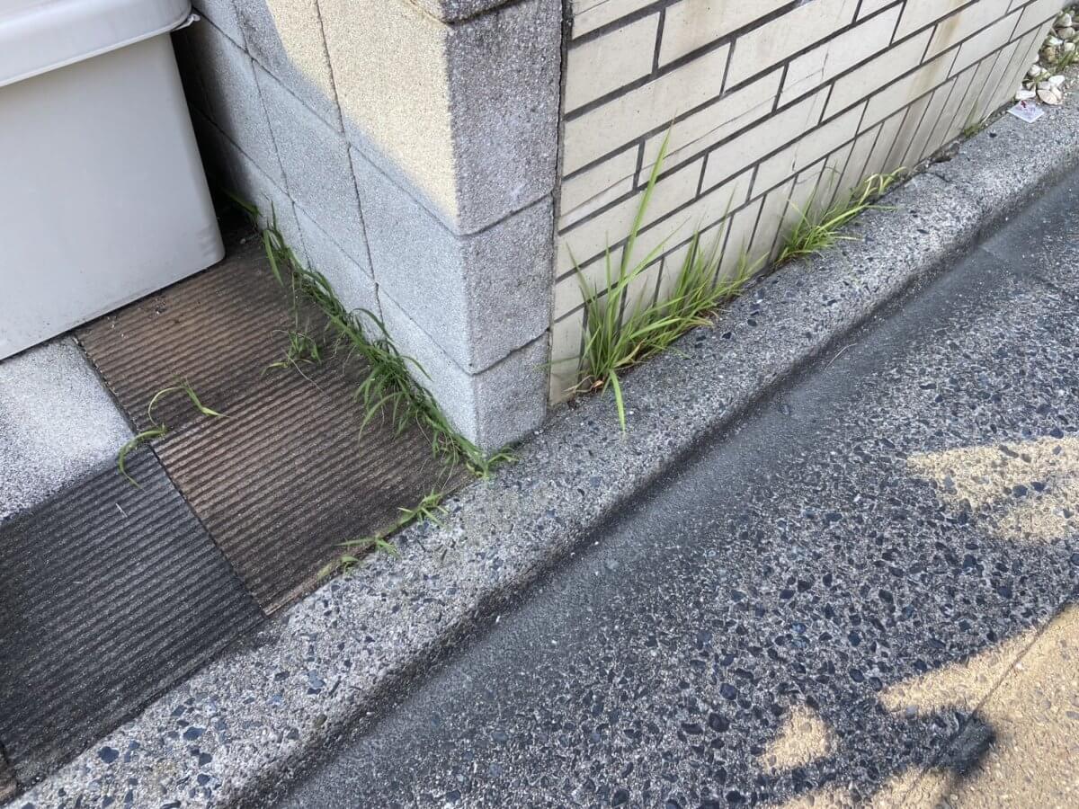南区向洋新町三丁目戸建