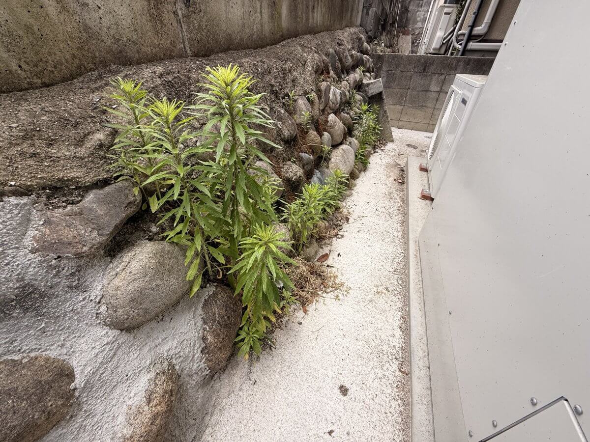 安佐北区落合南三丁目新築戸建