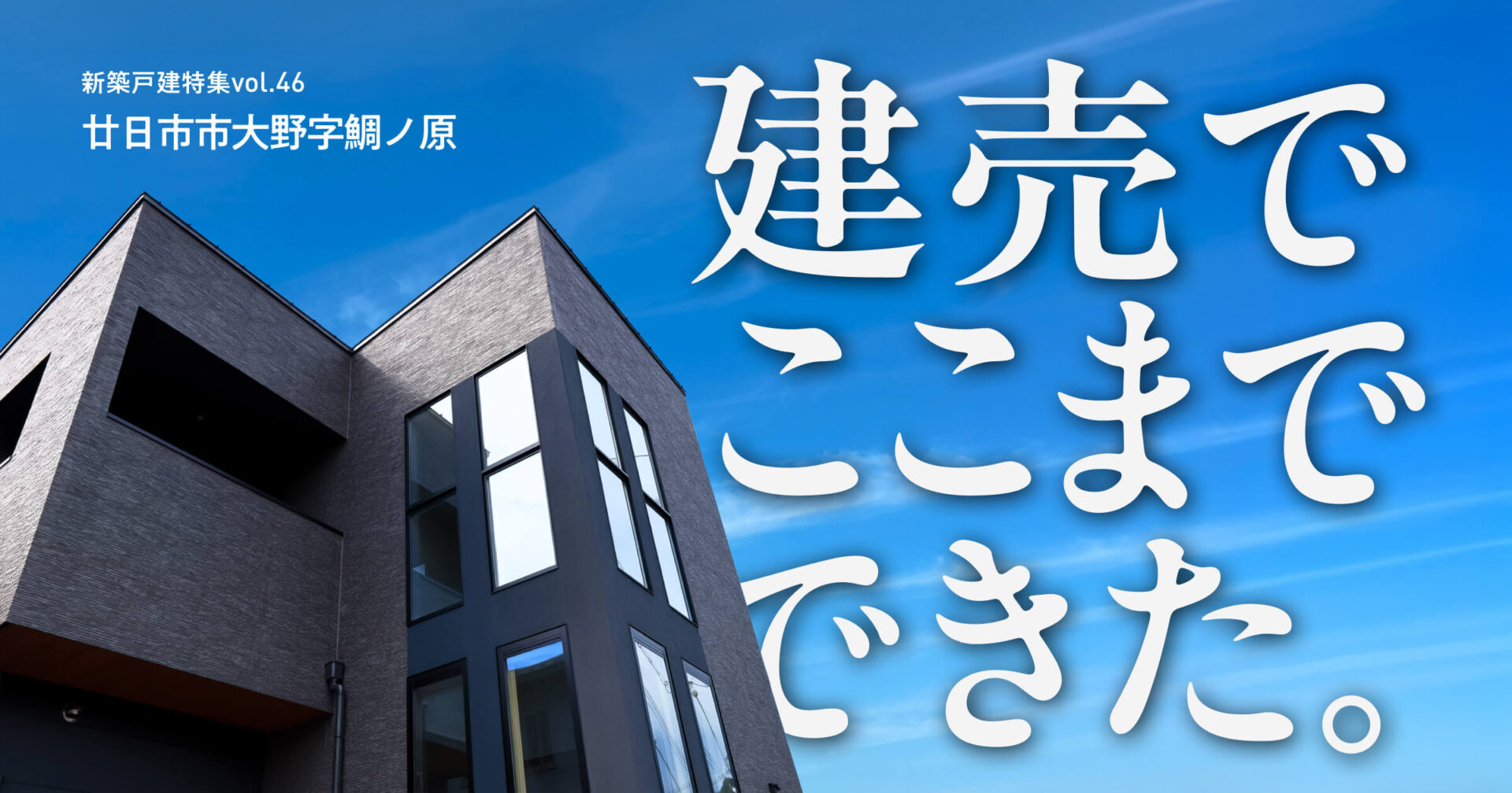建売でここまでできた。