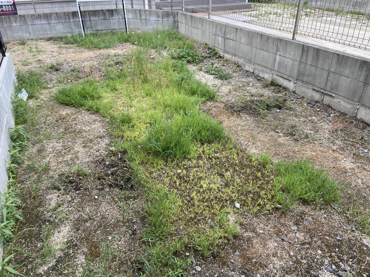 廿日市市宮内字的場土地