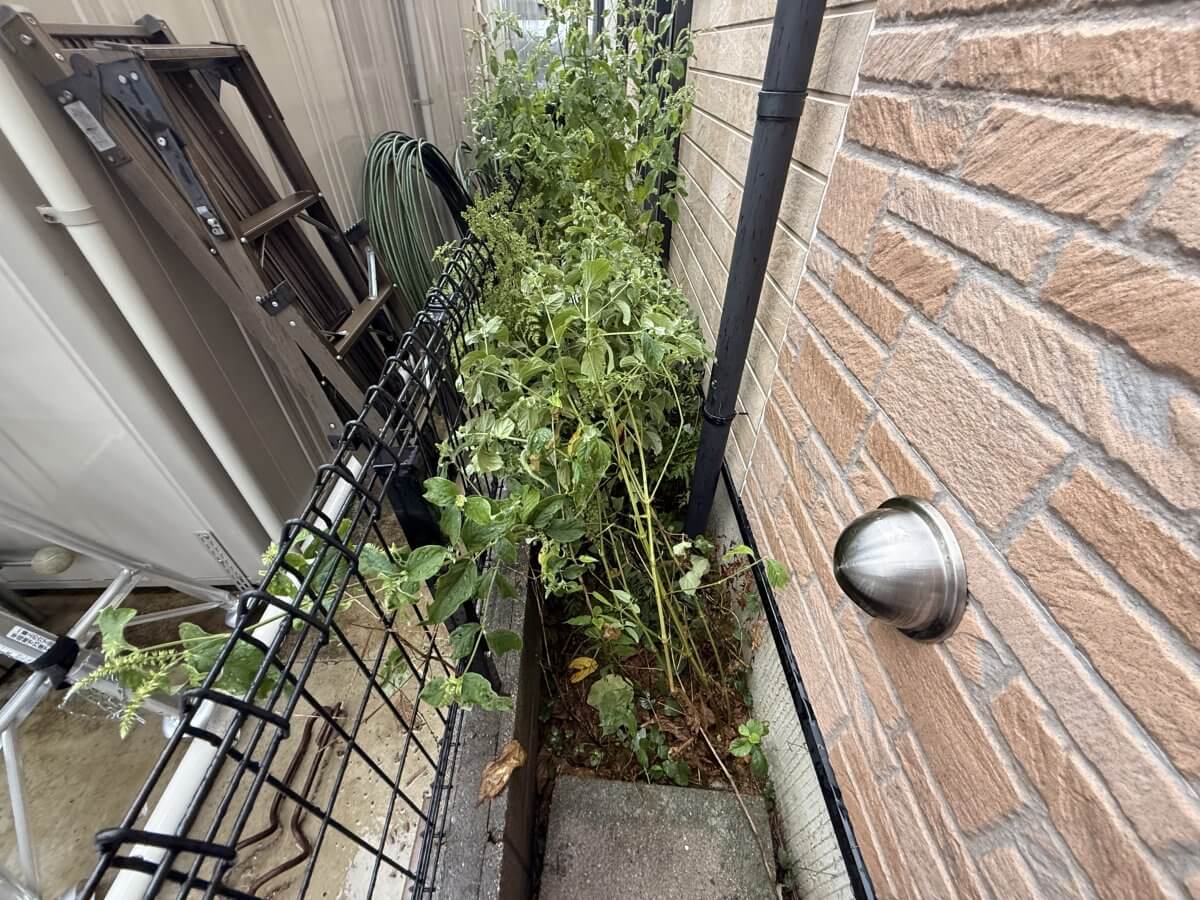 安佐南区緑井七丁目戸建