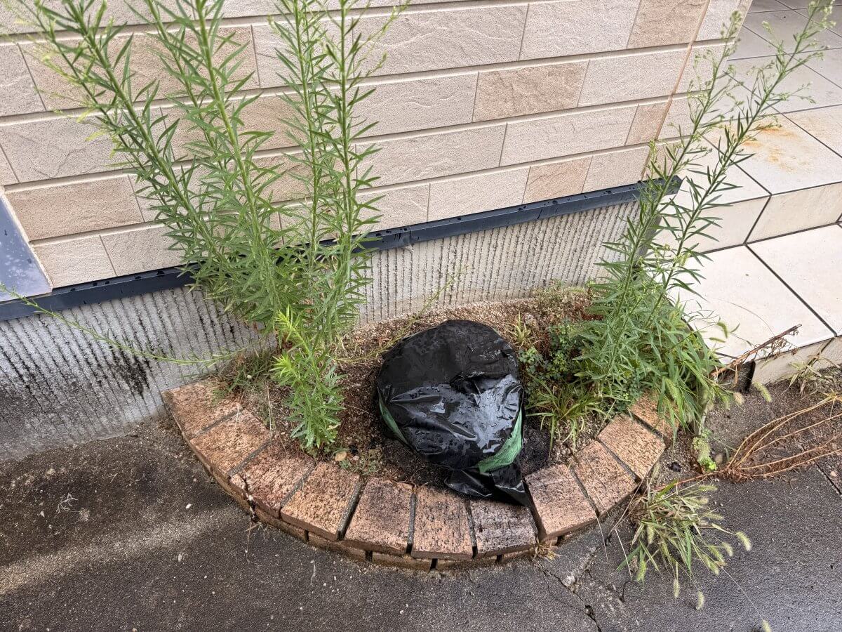安佐南区緑井七丁目戸建